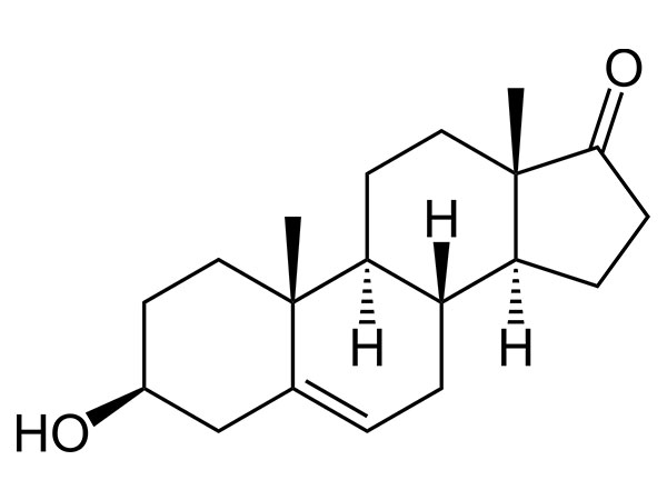 DHEA (براستيرون)